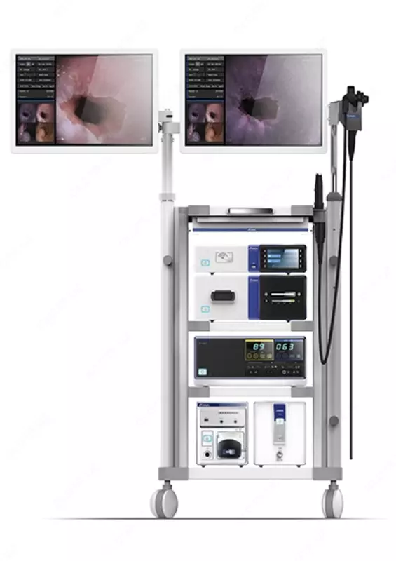 Видеоэндоскопическая система премиум класса AQ-100