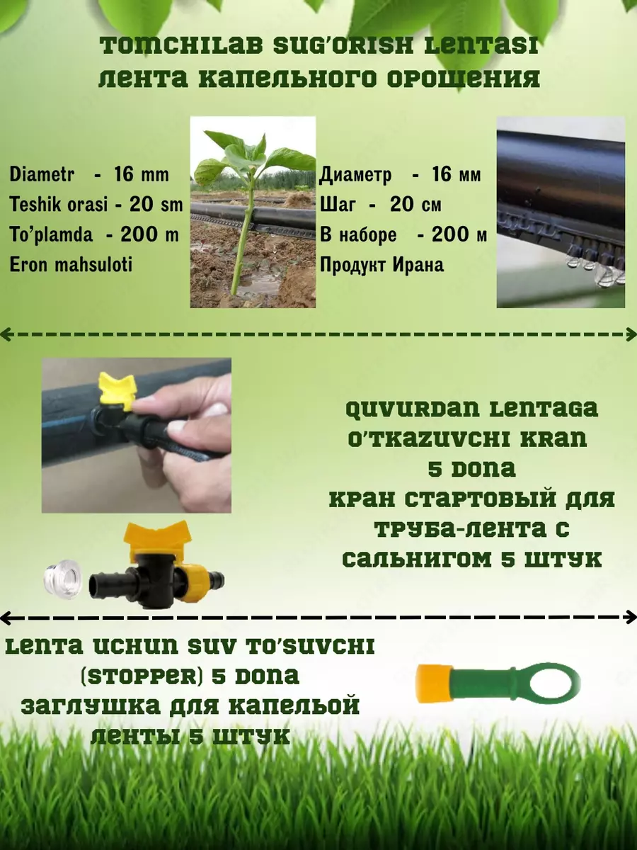 2025-06-09-16-17-15-170917-2aa0a1910db30ac08ca5dc02c6e7032b.webp?_=ozbol