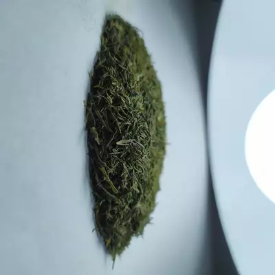 Qora Anjelika porno rasmlar