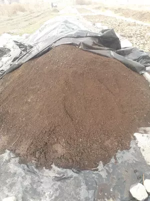 Биогомус - 1 200 сум / кг.