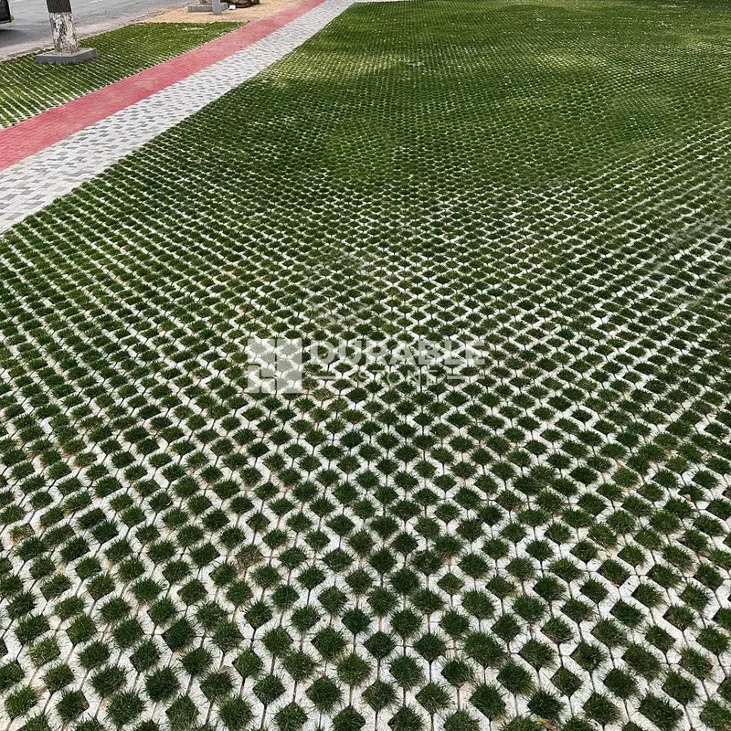 Тротуарная плитка "Газонная решетка"