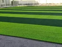 Maysazor lavanta 3.5 sm