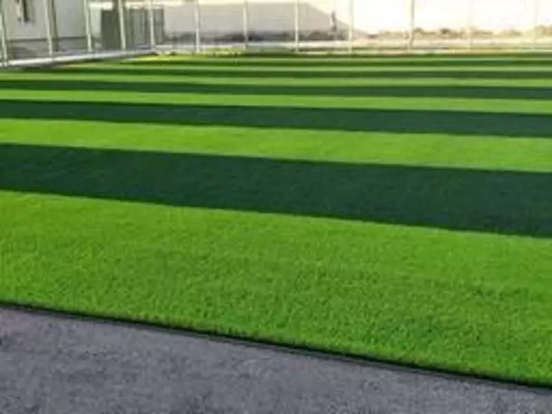  Maysazor lavanta 3.5 sm - 