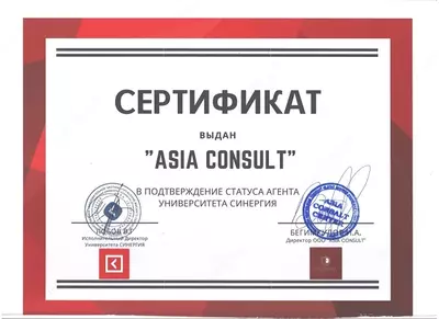 Финансово - Промышленный Университет "Синергия" (Москва)