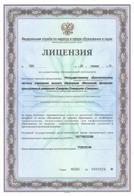 Финансово - Промышленный Университет "Синергия" (Москва)