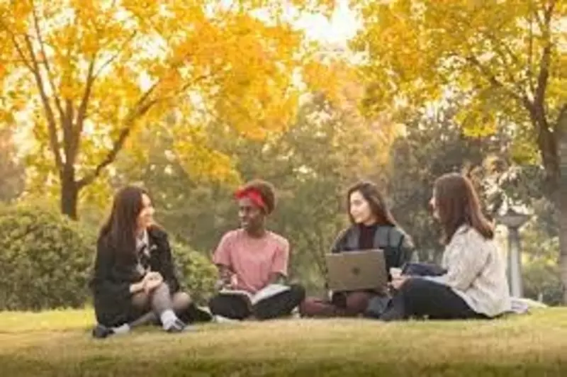 5 000 000 сум Northwestern Polytechnical University Политехнический университет (Китай)