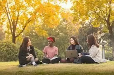 5 000 000 so'm Xitoy politexnika universiteti. Ta'lim xizmatlari