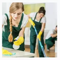 от 250 000 сум Уборка земельного участка