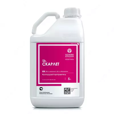 Urug' himoyachisi Skarlet