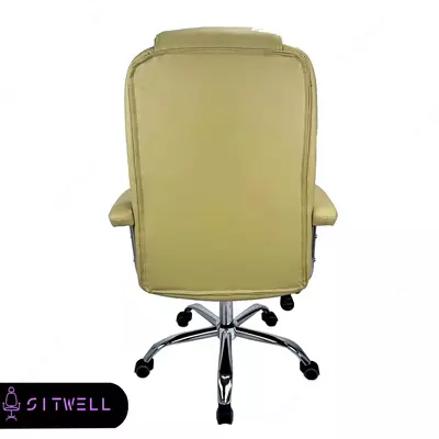 Ofis kreslosi SitWell