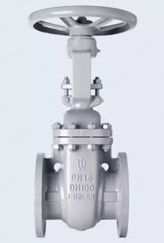 Ko'tarilgan shlyuz klapan PN16