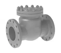 Клапан обратный поворотный ДУ50