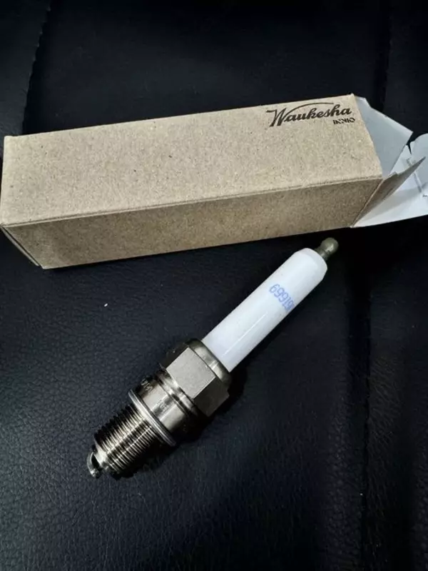 69919D Свеча зажигания Waukesha