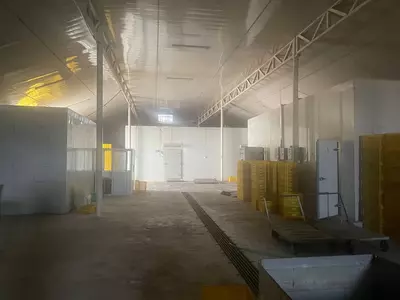 Птицеводческое оборудование и инструменты