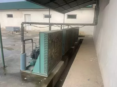 Птицеводческое оборудование и инструменты Саноатқурилиш