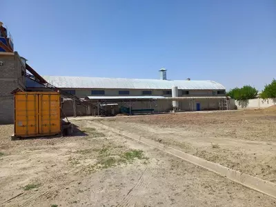 Здания и сооружения. Саноатқурилиш