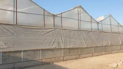 Issiqxona binosi kompleksi va Issiqxona uskunalari.