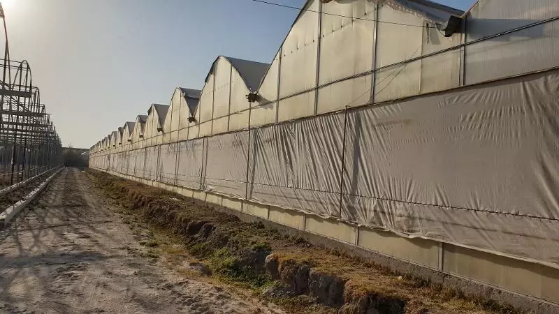 Теплица - 6 300 000 000 сум