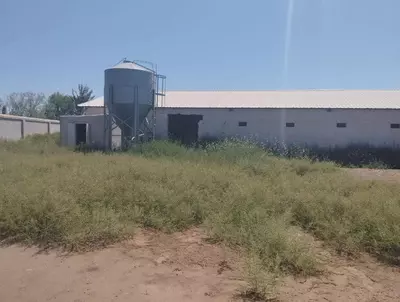 Здания и сооружения птицефабрик.