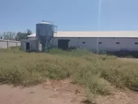 Здания и сооружения птицефабрик.