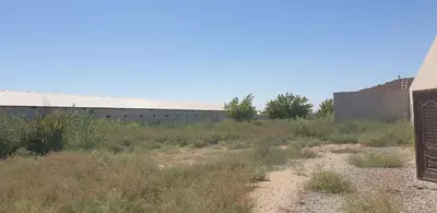 Здания и сооружения птицефабрик. - 1 550 000 000 сум / объект