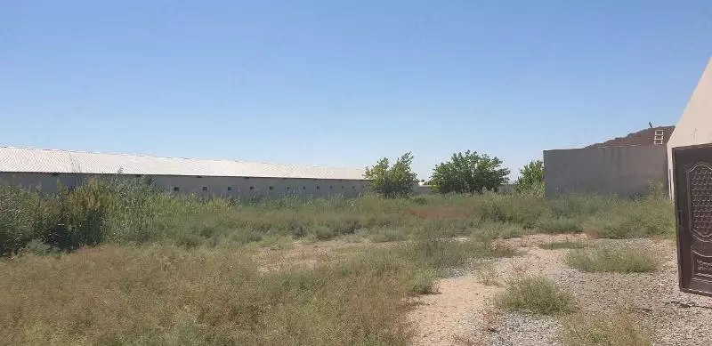 Здания и сооружения птицефабрик. - 1 550 000 000 сум