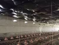 1 550 000 000 сум Здания и сооружения птицефабрик.