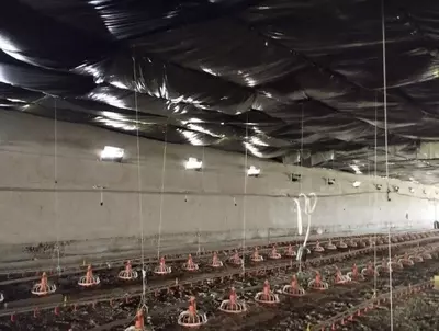 1 550 000 000 сум / объект Здания и сооружения птицефабрик.