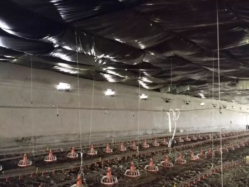 1 550 000 000 сум Здания и сооружения птицефабрик.