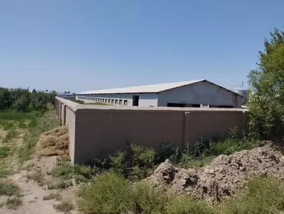 Здания и сооружения птицефабрик. Только в розницу