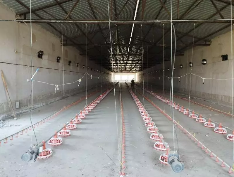 Здания и сооружения птицефабрик. Саноатқурилиш