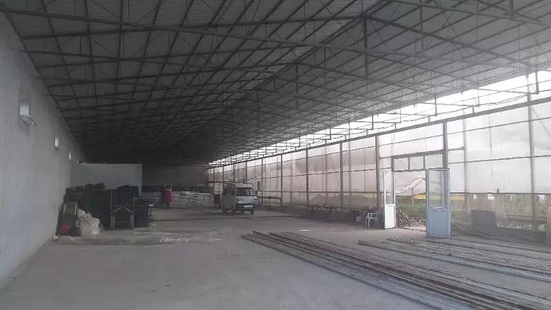 Теплица. - 5 500 000 000 сум