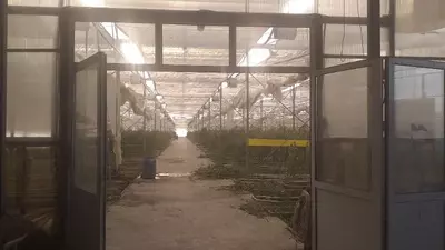 Issiqxona binosi. Chakana savdo