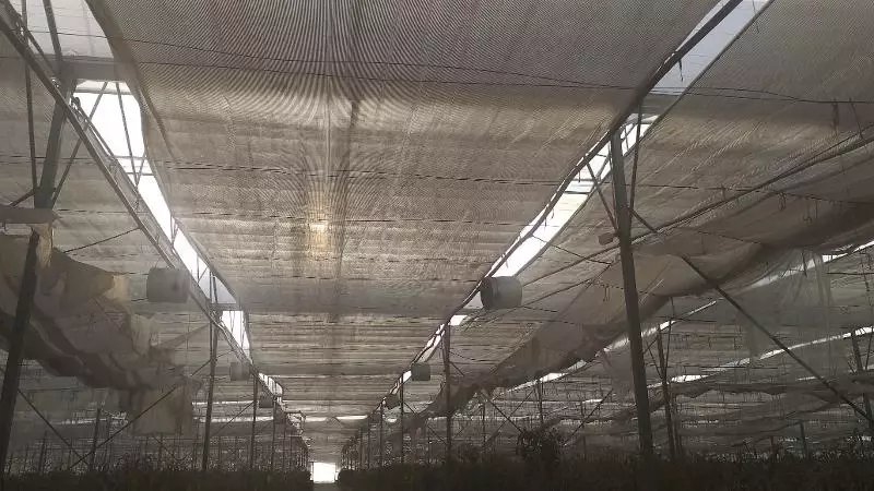 Теплица. Саноатқурилиш