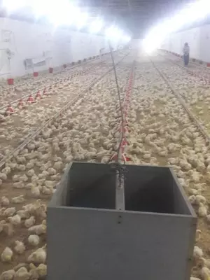 Ферма - 4 650 000 000 сум / шт.