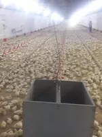 Ферма - 4 650 000 000 сум