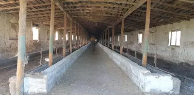 4 650 000 000 сум / шт. Ферма