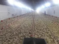 Ферма Только в розницу