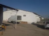 Ферма - Саноатқурилиш