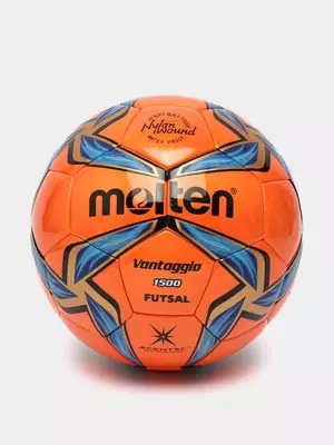 Мячи футбольные