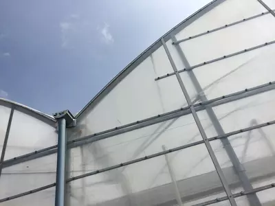 issiqxonalar uchun kino - Narx so&#039;rov asosida