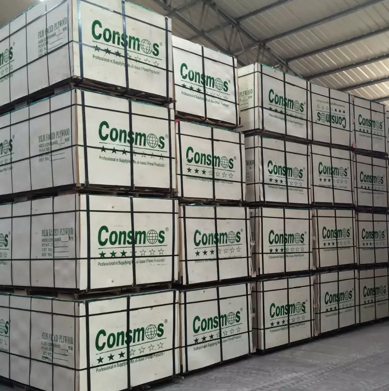 "CONSMOS" laminatlangan kontrplak 12 mm