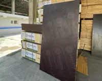 Фанера ламинированная Segezha Group Россия