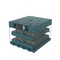 Инкубатор в наличии