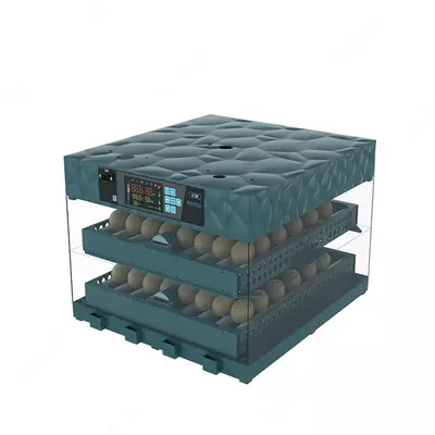 Инкубатор в наличии