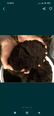 Биогумус. 100% натуральное удобрение в любых объёмах.