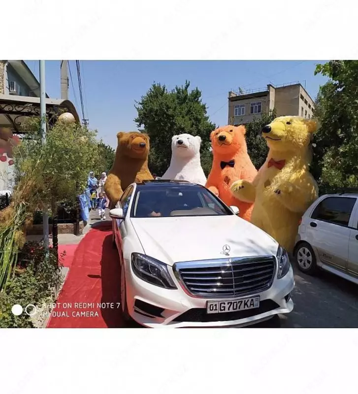 Выписка с рaддома