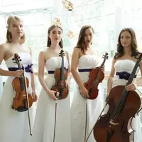 LuxEvent - Музыкальное сопровождение на Вашем свадебном торжестве