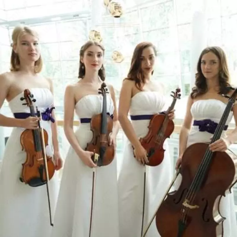 LuxEvent - Музыкальное сопровождение на Вашем свадебном торжестве