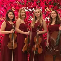 Музыкальное сопровождение на Вашем свадебном торжестве - Прочие услуги по организация торжеств